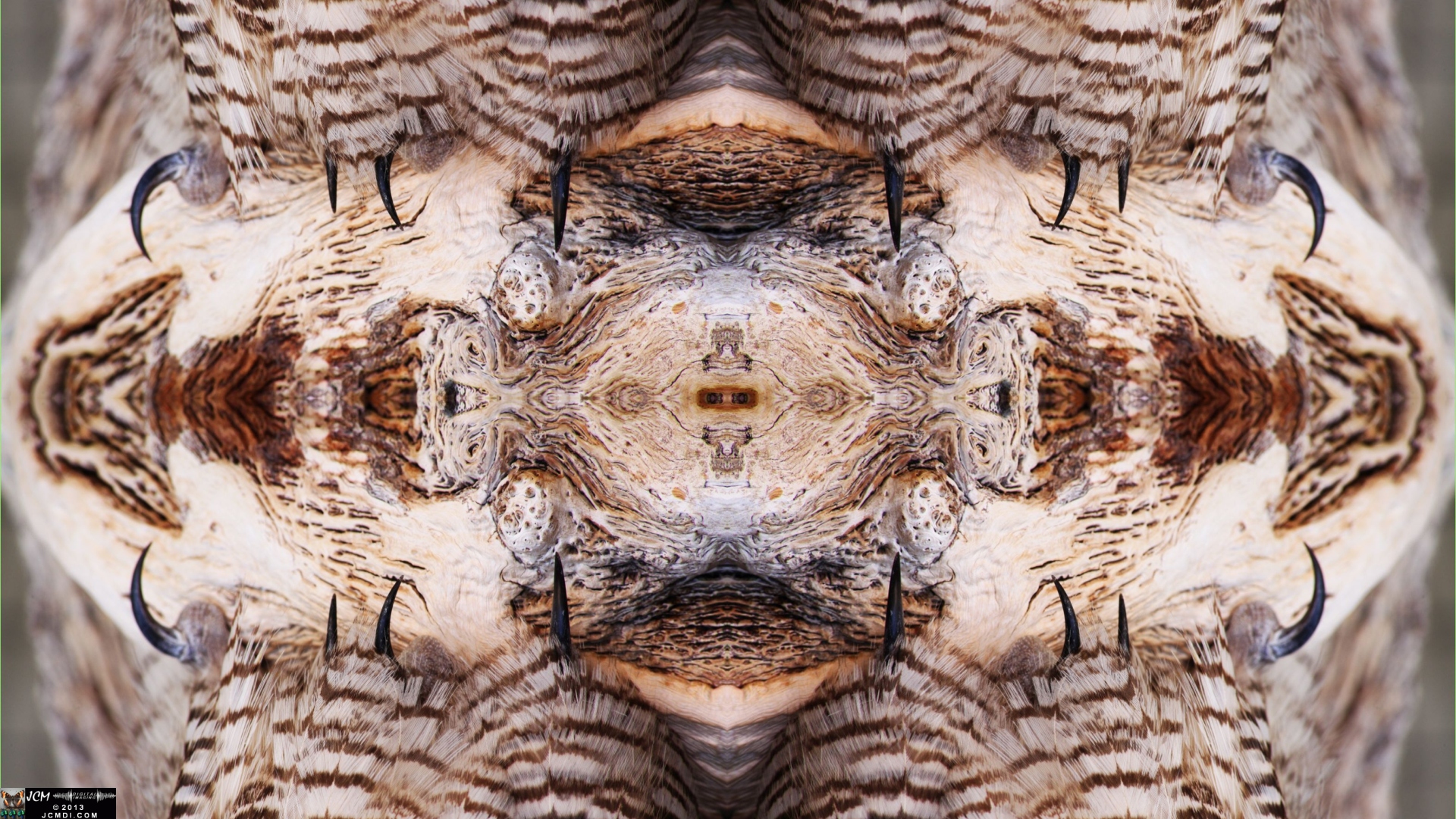 A cool quadroscopic image of a Great Horned Owl at Devil's Punchbowl county park